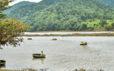 Experience the Best of Nature: Serene Meadows Resort & Baralikadu Boathouse